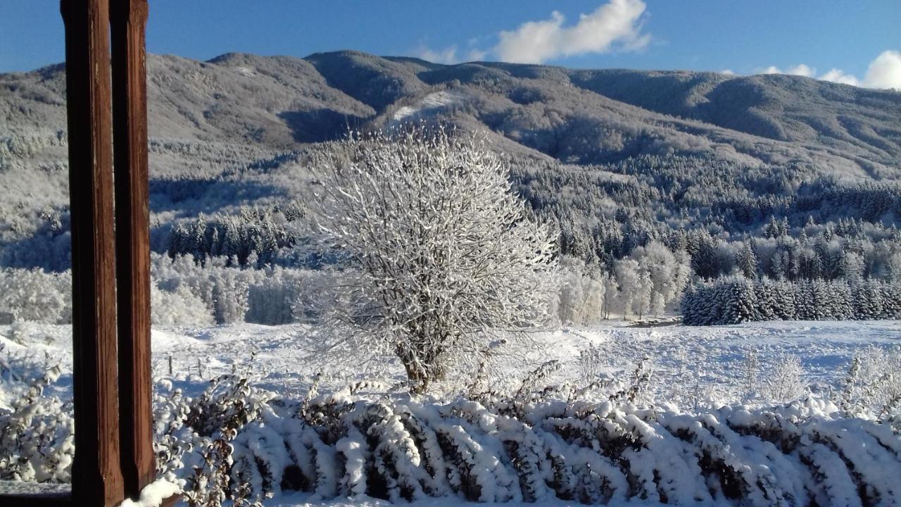 ホテル Valea Doamnei Nucşoara エクステリア 写真