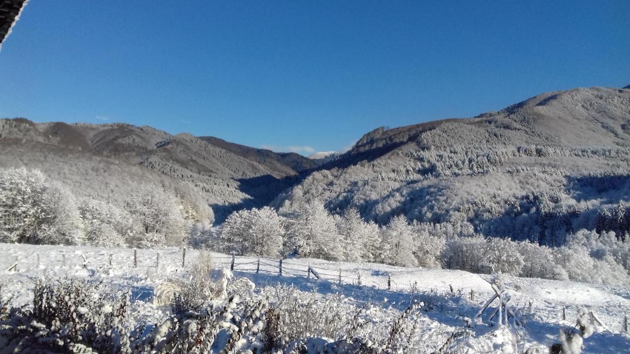 ホテル Valea Doamnei Nucşoara エクステリア 写真