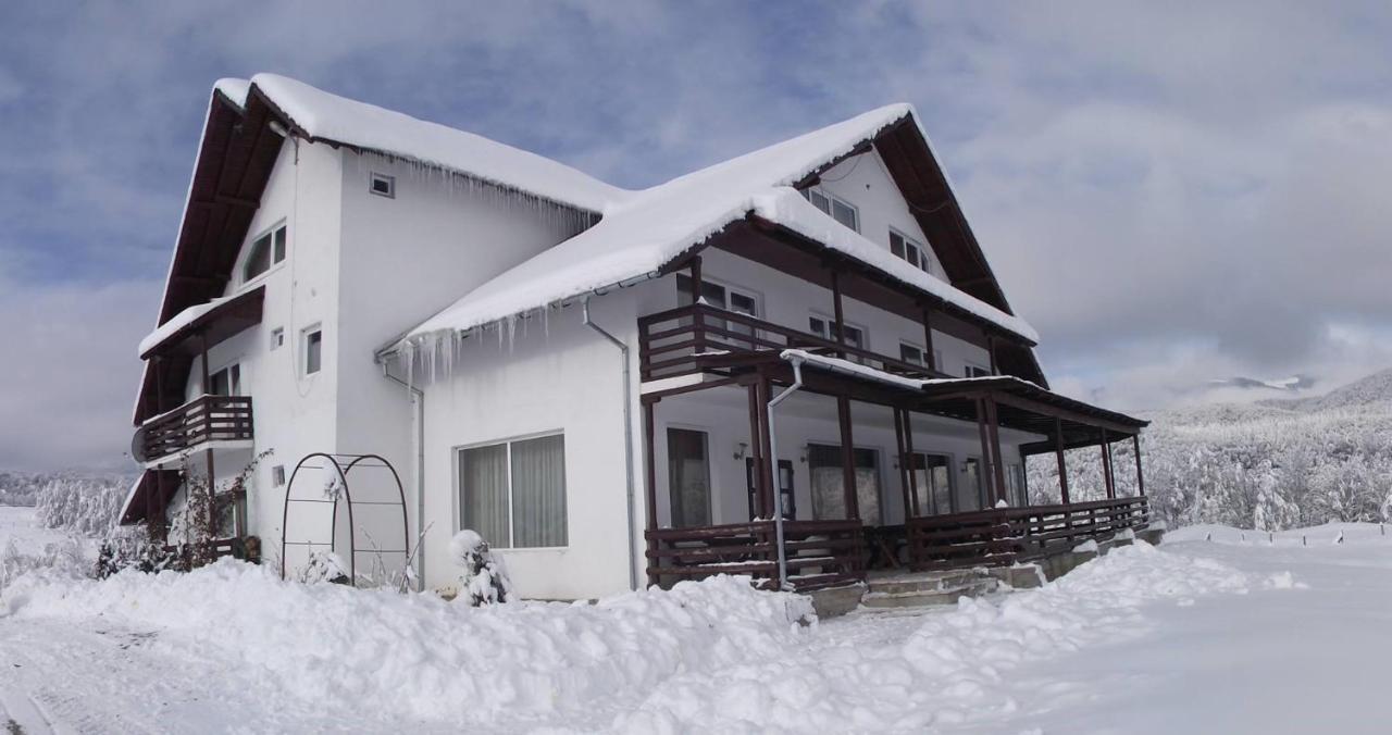 ホテル Valea Doamnei Nucşoara エクステリア 写真